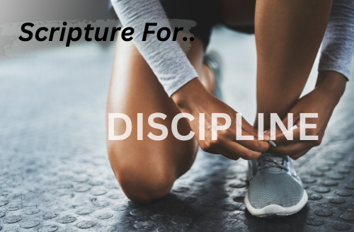 Learning Discipline